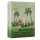 AMOR Wild Moments / 3 pcs content